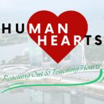 whatsapp image 2025 12 02 at 21.28.52